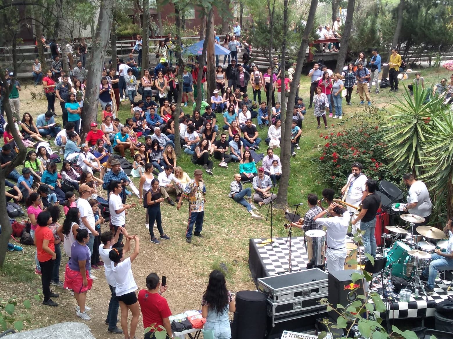 día internacional danza unam 2019