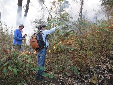 brigadas incendio tepoztlán