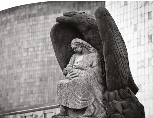 Instituto Mexicano del Seguro Social, IMSS