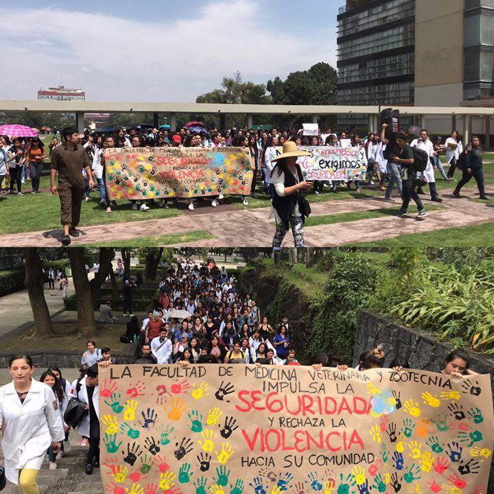 marcha cu unam veterinaria seguridad violencia