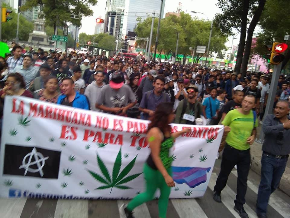 mariguana marihuana legalización 