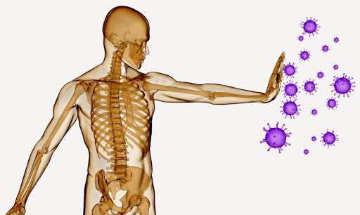 sistema inmunológico inmune virus fortalecer bacterias