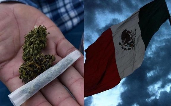 marihuana ley multas castigo legalización