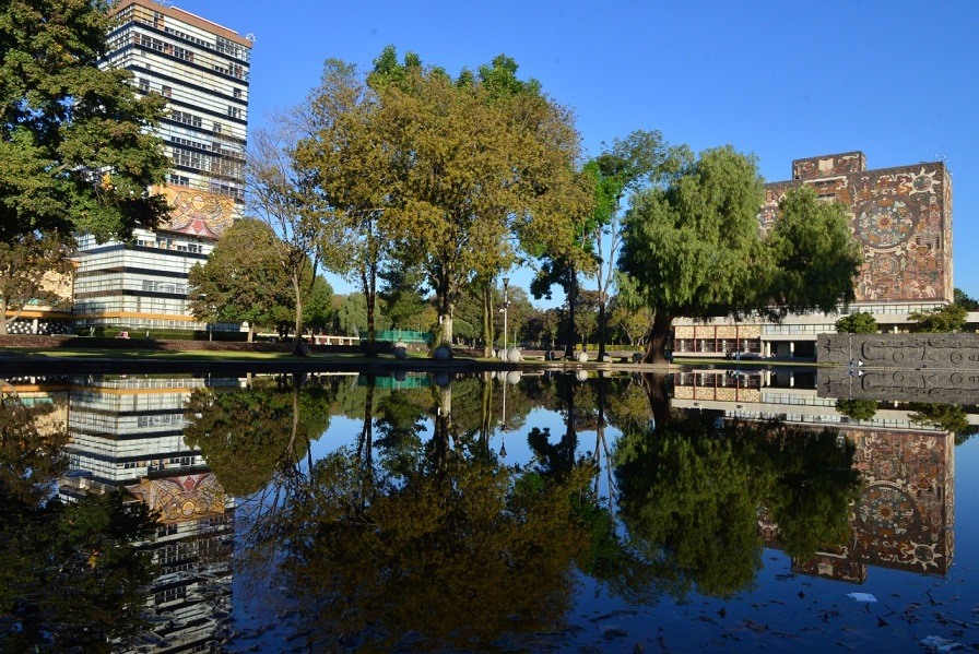 brigada vacuna covid unam